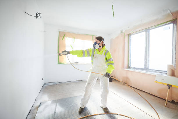  Lake Wynonah, PA Mold Removal Pros